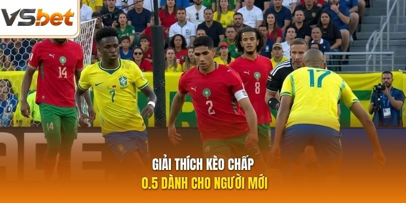 Giải thích kèo chấp 0.5 dành cho người mới