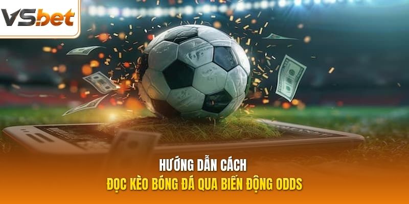 Hướng dẫn cách đọc kèo bóng đá qua biến động odds