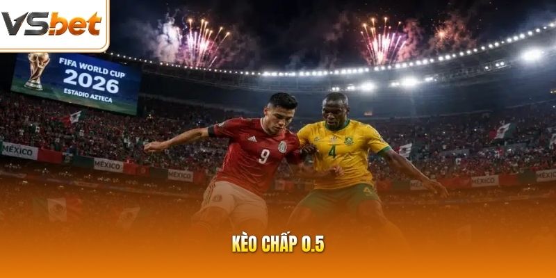 Kèo Chấp 0.5 | Đọc Vị Bảng Thông Số Hiệu Quả Thu Tiền Lời Dễ