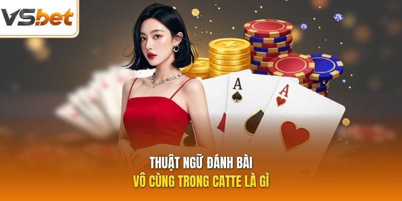 Thuật ngữ đánh bài vô cùng trong catte là gì