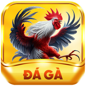 vsbet đá gà